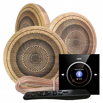 Комплект влагостойкой акустики - SW NOISE Black SAUNA R3